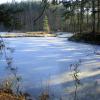 Fuchsmuehle_CentralPonds1(800x600).JPG