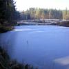 Fuchsmuehle_CentralPonds2(800x600).JPG
