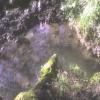DSC00012.JPG