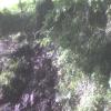 DSC00013.JPG