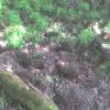 DSC00016.JPG