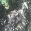 DSC00017.JPG